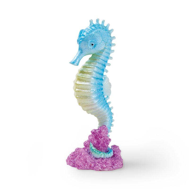 EDEN Hippocampe