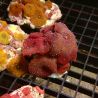 Discosoma