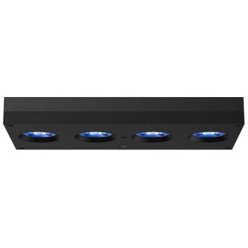 Hydra 64HD rampe LED blanche 749,00 €