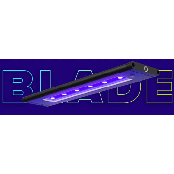 AI Blade Coral Glow