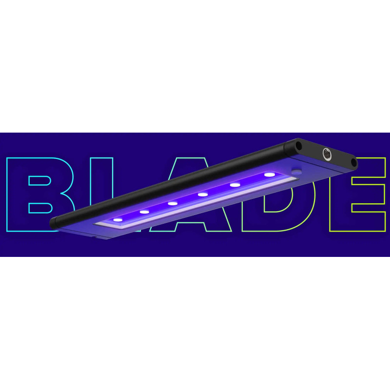 AI Blade Coral Glow AI Blade Coral Glow