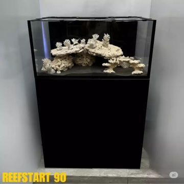 Reef Start 60 (Shallow) Equipé