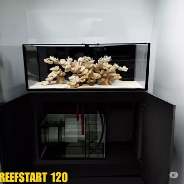 Reef Start 120 (shallow) Equipé