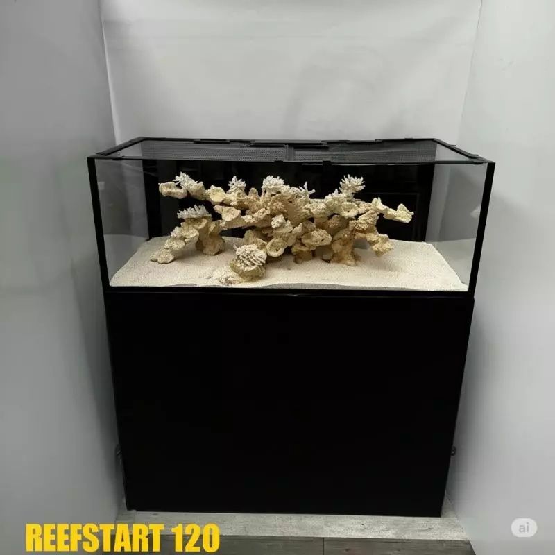 Reef Start 120 (shallow) Equipé