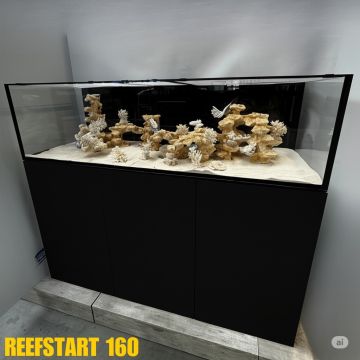 Reef Start 160 (shallow) Equipé