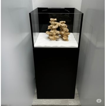 Reef Start 60 XL Equipé