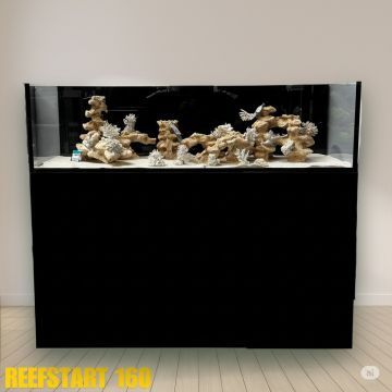 Reef Start 160 Equipe