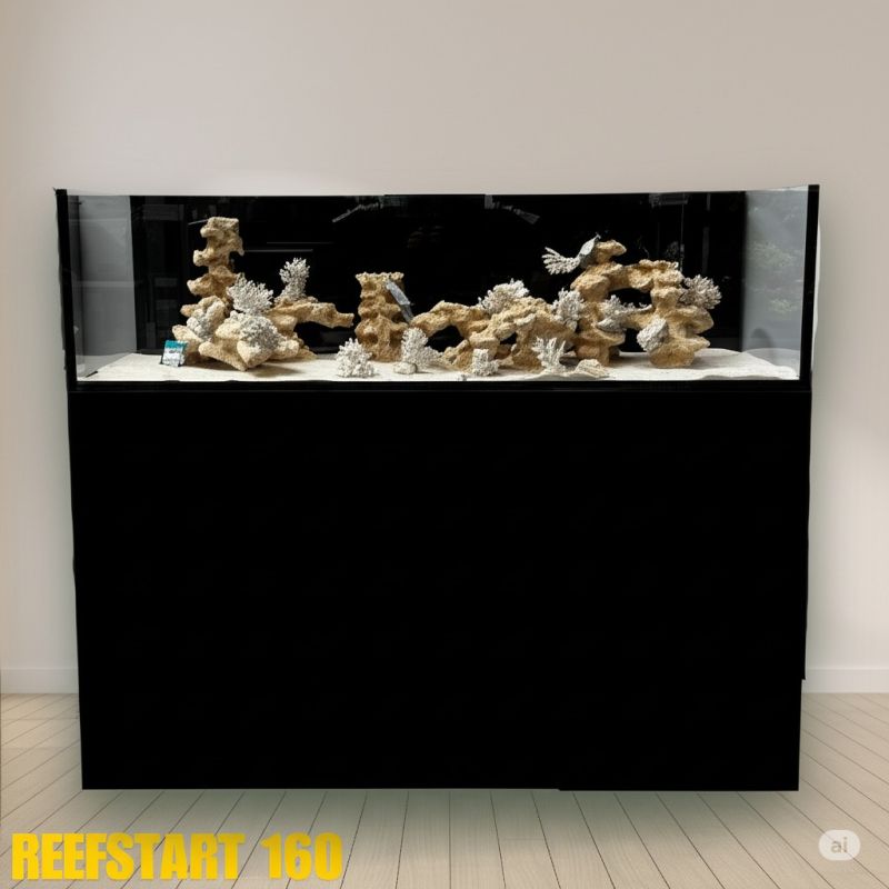 Reef Start 160 Equipe