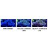 Maxspect Pastel Reef Magnifier Lens M