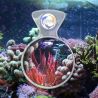 Flipper DeepSee Standard 39,90 €