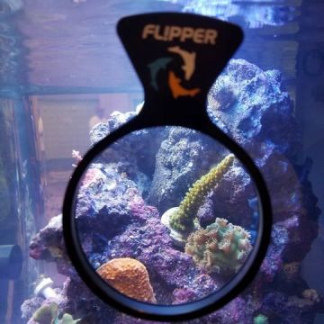 Flipper DeepSee Max 59,90 €