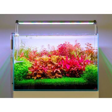 TWINSTAR S-Line V 450S (45cm)