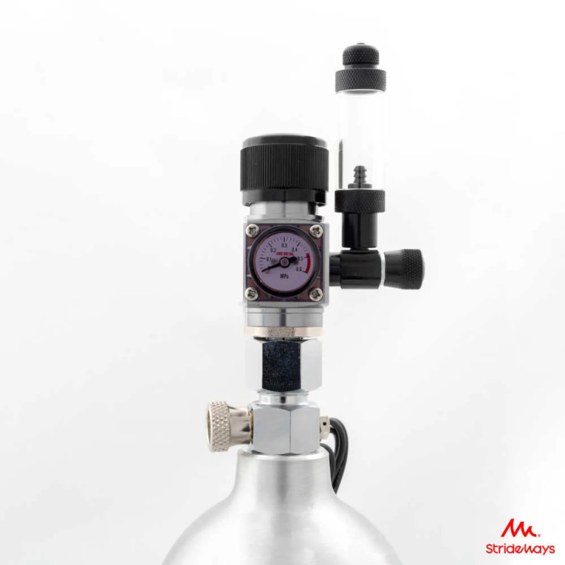 Strideways CO2 regulator