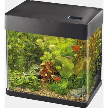 Superfish panorama 50 blanc