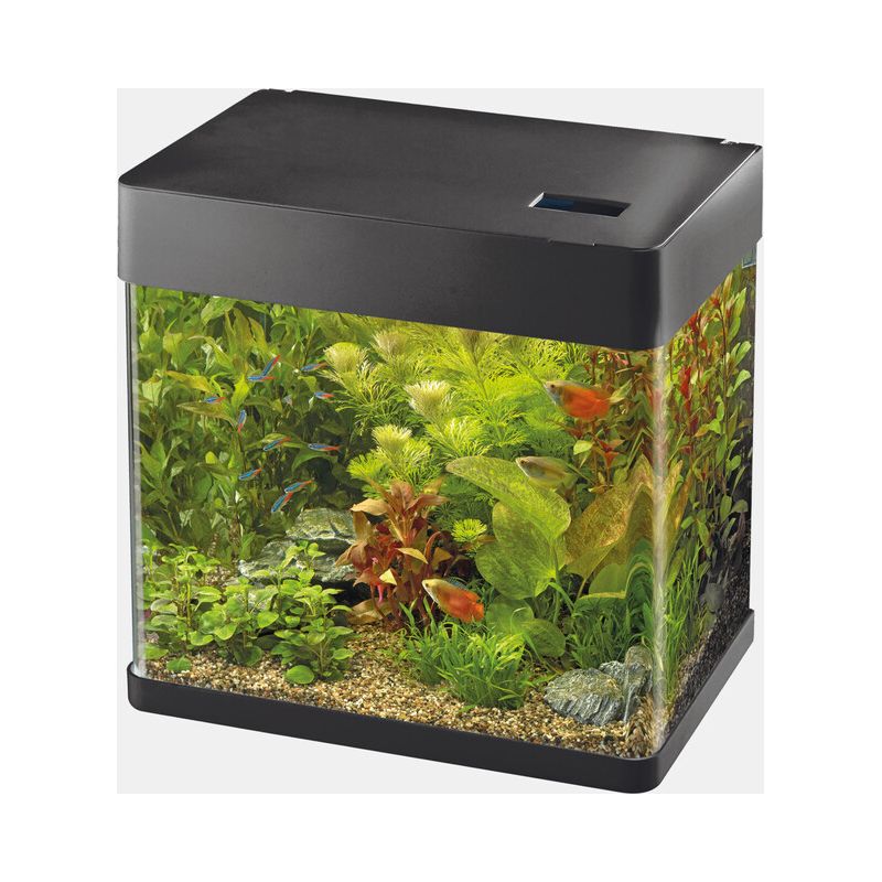 Superfish panorama 50 blanc