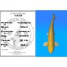 Koï Japon Yamabuki mâle éleveur Izumiya 61cm