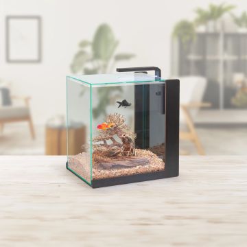 Aquatlantis Aqua Lounge 16L