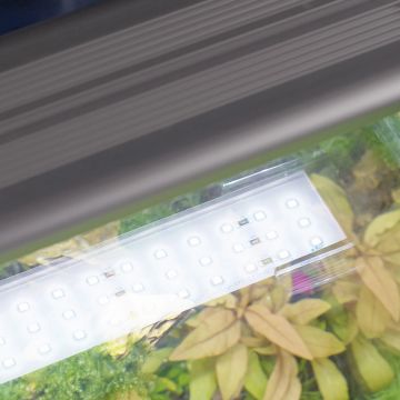 Aquatlantis Kubus Curve 65L