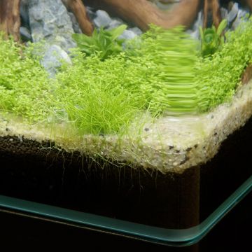 Aquatlantis Kubus Curve 30L