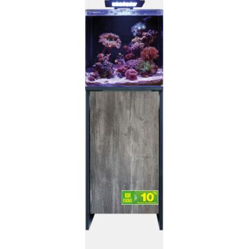 Blue marine Reef 90 aquarium