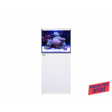 Reefer™ 170 G3
