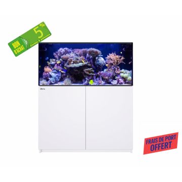 Reefer™ 425 G3