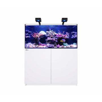 Reefer™ 350 G3 Deluxe (2 RL 115 + 2 potences)