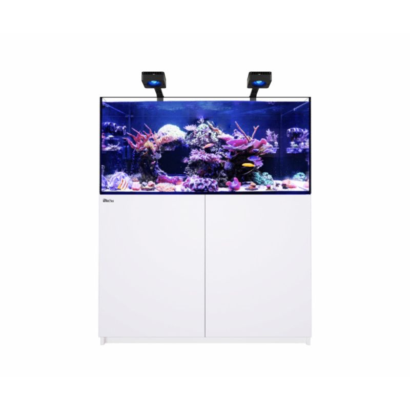 Reefer™ 350 G3 Deluxe (2 RL 115 + 2 potences) Reefer™ 350 G3 Deluxe (2 RL 115 + 2 potences)