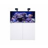 Reefer™ 425 G3 Deluxe  (choix Reefled 115/170) Reefer™ 425 G3 Deluxe  (choix Reefled 115/170)