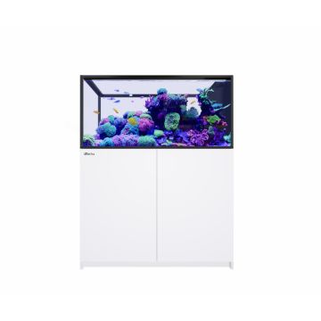 Reefer™ Peninsula 500 G3