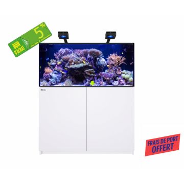 Reefer MAX 425 G3
