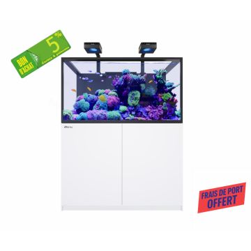 Reefer MAX S 550 G3