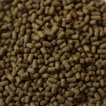 Dupla Rin Axolotl Snack 80g