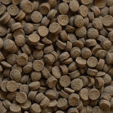 Dupla Rin Crusta Snack 85g