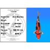 Koï Japon Kin Showa éleveur Kanno 28-42cm