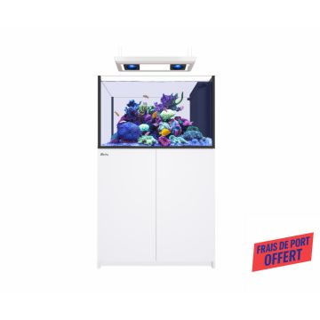 Reefer MAX Peninsula 350 G3