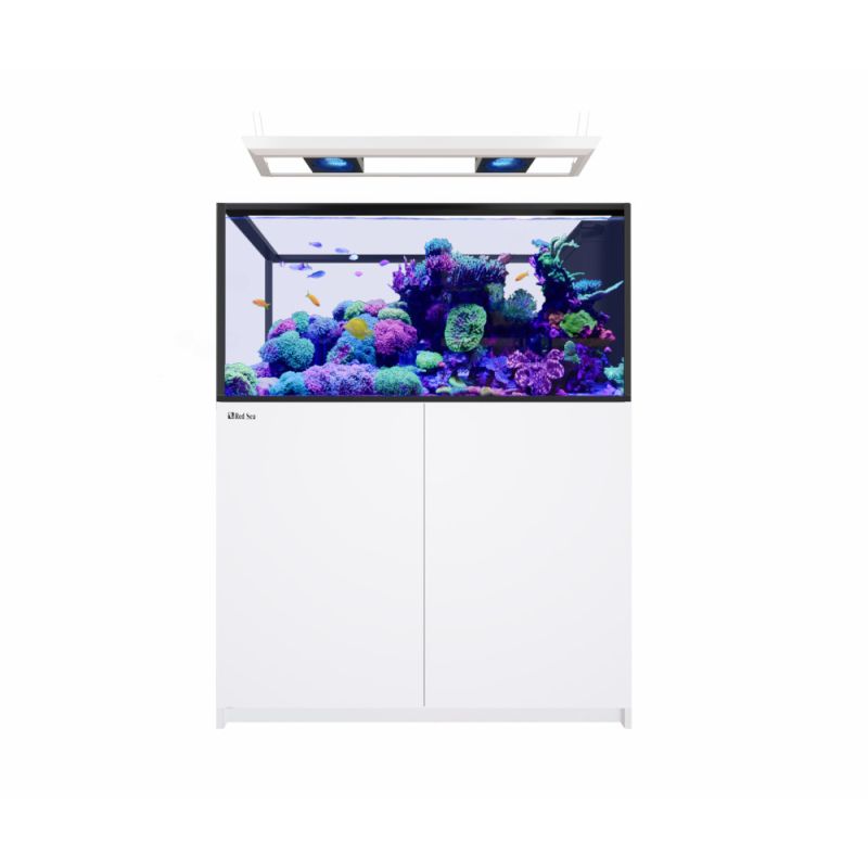 Reefer MAX Peninsula 500 G3 Reefer MAX Peninsula 500 G3