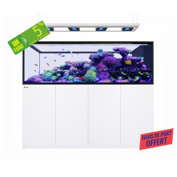 Reefer MAX Peninsula S-950 G3