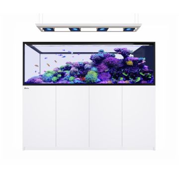 Reefer MAX Peninsula S-950 G3