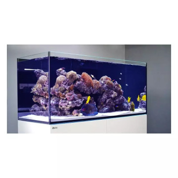 Reefer™ XXL 750 Noir