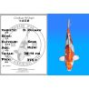 Koï Japon D. Kujaku éleveur Seiki 38-41 cm