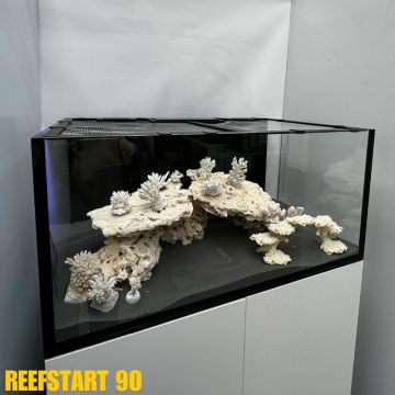 Reef Start 90 XL