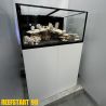 Reef Start 90 XL