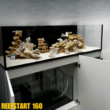 Reef Start 160 XL 