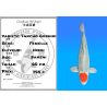 Koï Japon Tancho Goshiki femelle éleveur Hiroi 60 cm