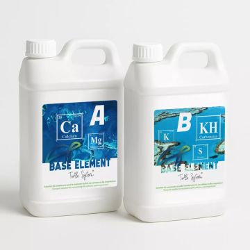 Turtle System Lot 2 bidons Base Element KH + Calcium et Magnésium 2,8L