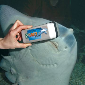 JBL Floaty Shark pour aquariums jusqu'à max. 20-30 mm d'épaisseur.