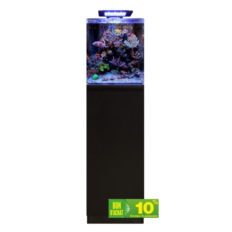 Blue marine reef 60 aquarium