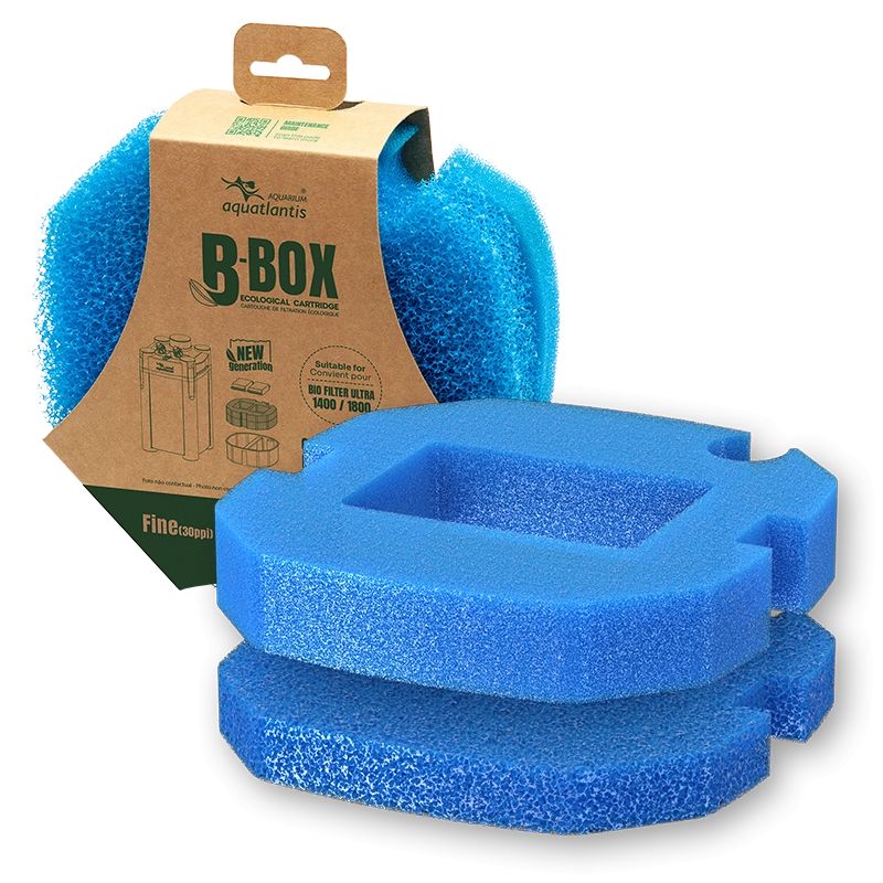 Aquatlantis B-Box Coarse Foam + Fine Foam XL