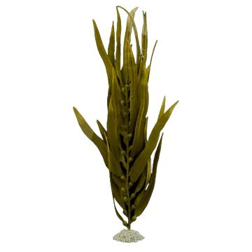 Aqua Della plante artificielle kelp brun L